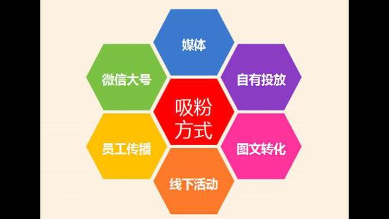 个人创业网络推广外包还是自营